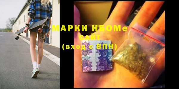 сатива Кулебаки