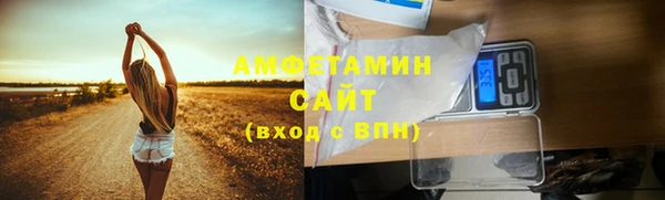 сатива Кулебаки
