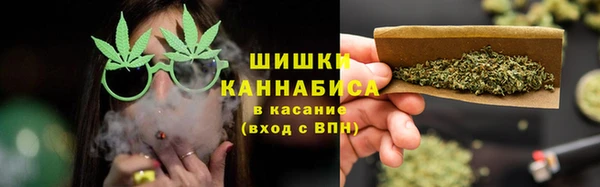 сатива Кулебаки