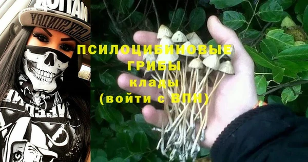 2c-b Куйбышев