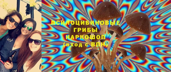 2c-b Куйбышев