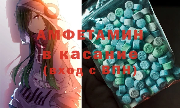 сатива Кулебаки