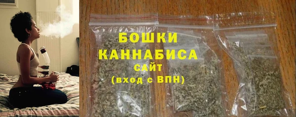сатива Кулебаки