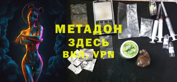 сатива Кулебаки