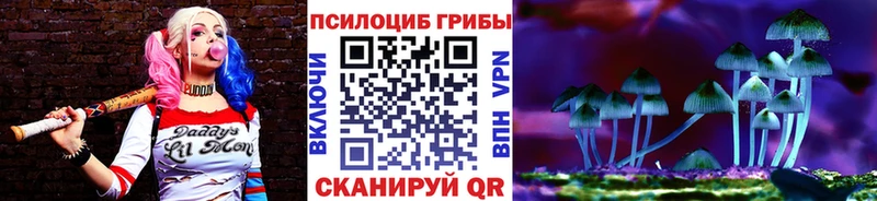 Псилоцибиновые грибы мицелий Купить где Солигалич